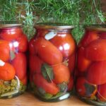 18078 Кабачки с помидорами: 5 лучших рецептов