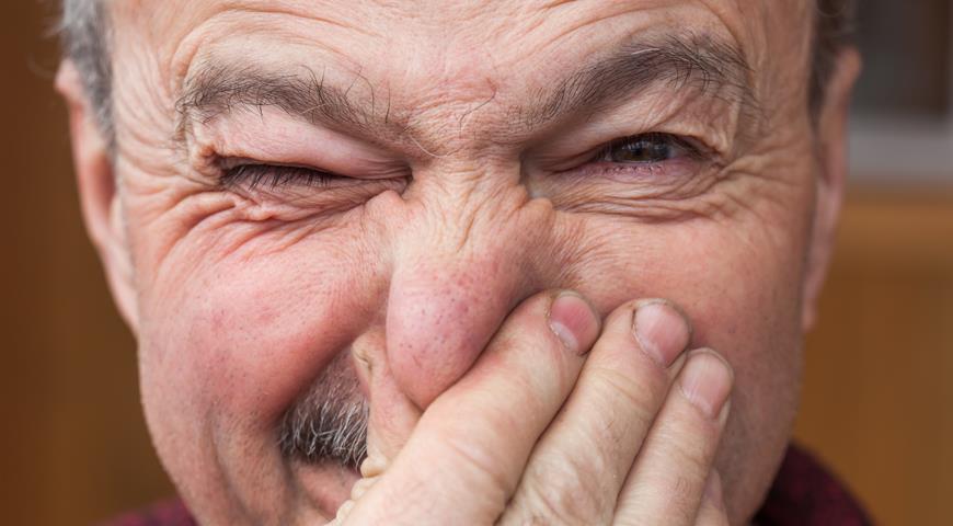 Как победить запах старости при помощи шампиньонов. И другие полезные свойства этих грибов