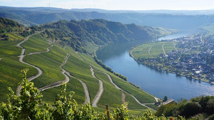 Гастрономическое путешествие по Германии с традиционными немецкими винами