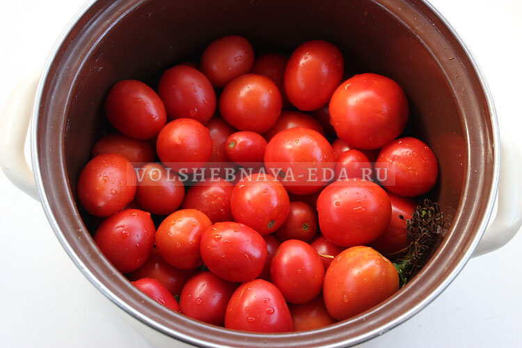 soleny pomidory 3