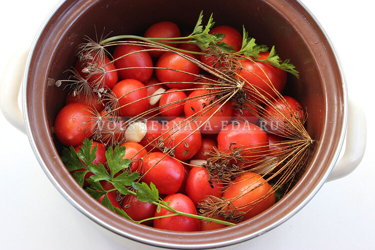 soleny pomidory 4