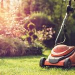23347 Как работа в саду помогает в борьбе с онкологическими заболеваниями